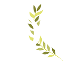 Dr. Özlem Ertaş Logo